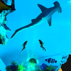 Manta & Hammerhead Shark Resin Lamp Ocean Explorer Night Light for Bedroom